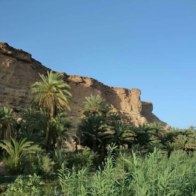 Amoudou Lodge Camp Tissint Εξωτερικό φωτογραφία